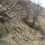 IMG 1669
