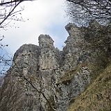 IMG 1678