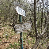 IMG 1682
