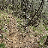 IMG 1683