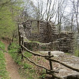 IMG 1686