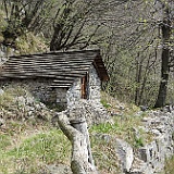 IMG 1690