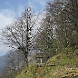 IMG 1695