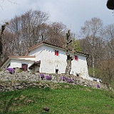 IMG 1698