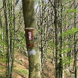 IMG 1699
