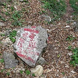 IMG 1702