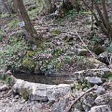 IMG 1708