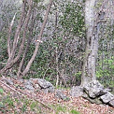 IMG 1712