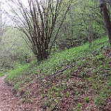 IMG 1713