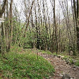 IMG 1714