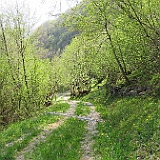 IMG 1715