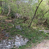 IMG 1716