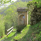 IMG 1717