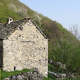 IMG 1720
