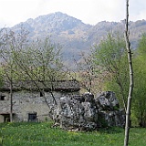 IMG 1721