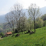 IMG 1722