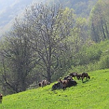 IMG 1725