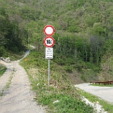 IMG 1731