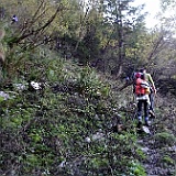 DSC00590