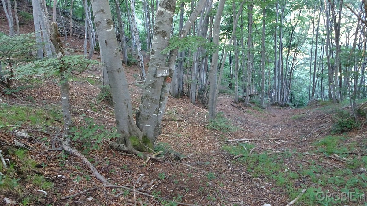 2020-06-21 08-19-41 - DSC05123
