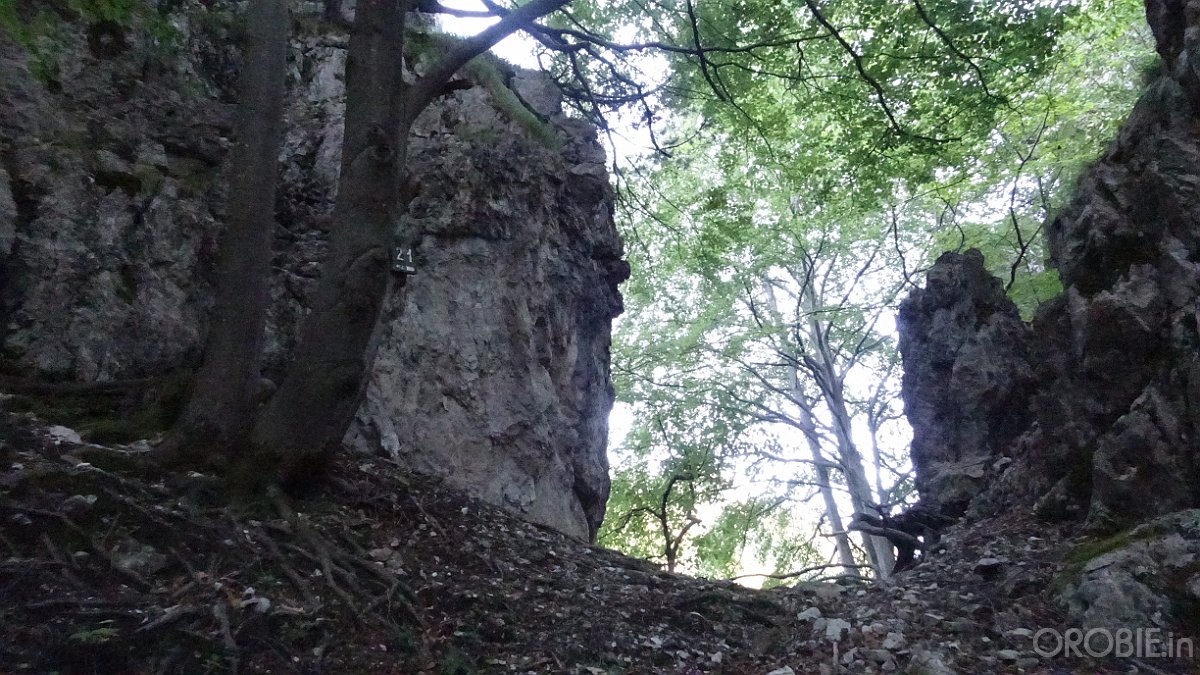 2020-06-21 08-28-00 - DSC05124