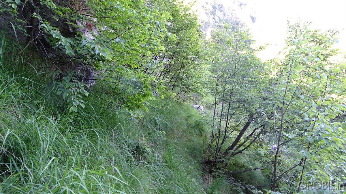 2020-06-21 08-35-26 - DSC05129