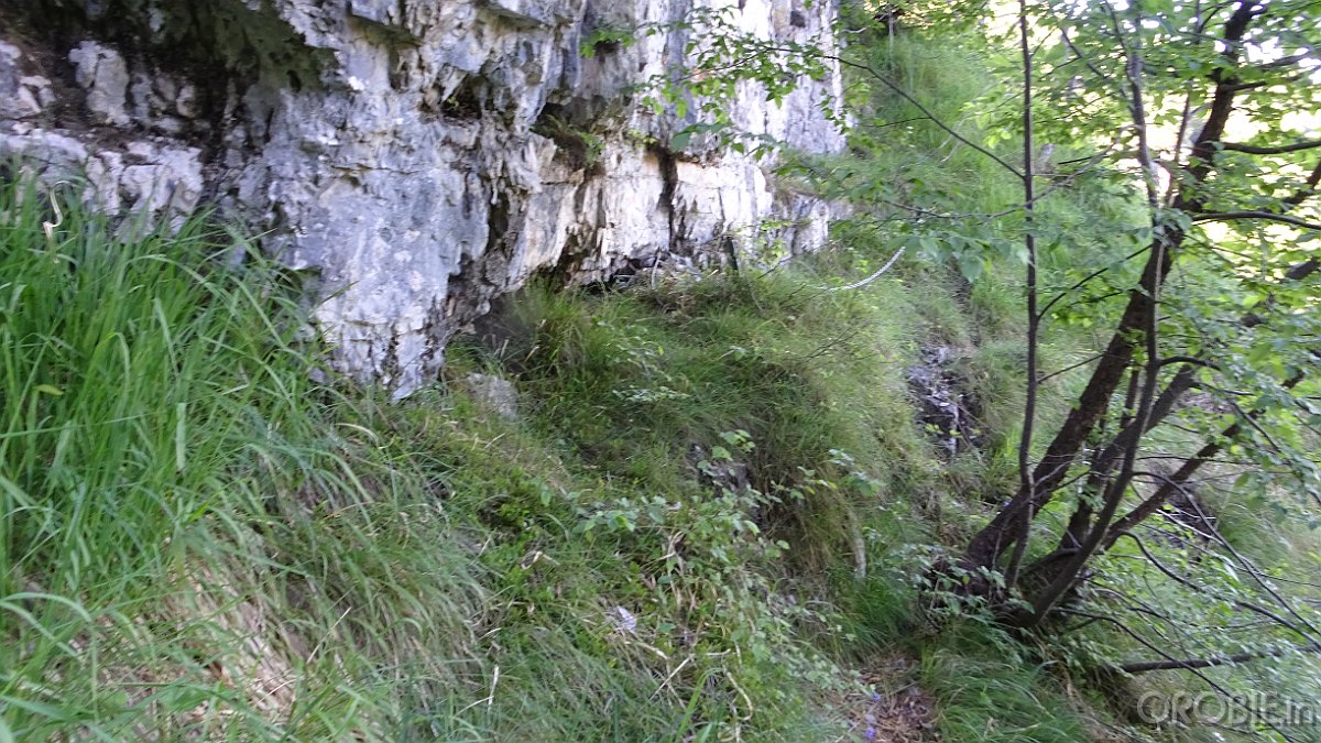 2020-06-21 08-37-02 - DSC05130