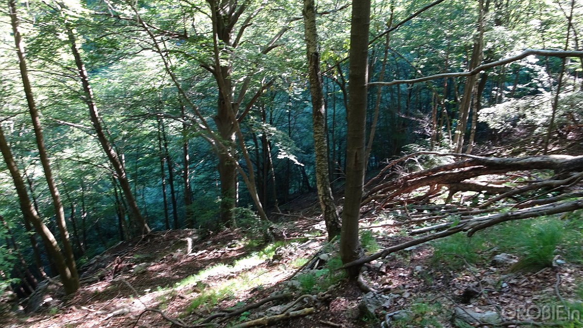 2020-06-21 08-52-49 - DSC05135