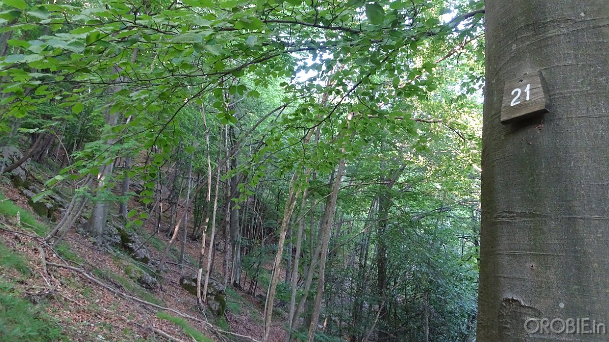 2020-06-21 08-57-01 - DSC05136