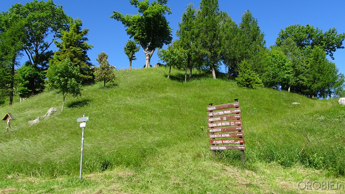 2020-06-21 10-01-24 - DSC05148