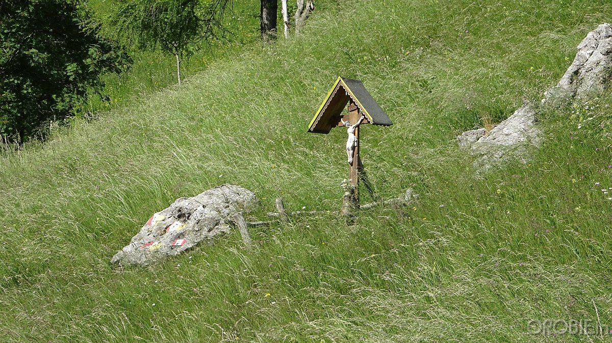 2020-06-21 10-01-33 - DSC05149