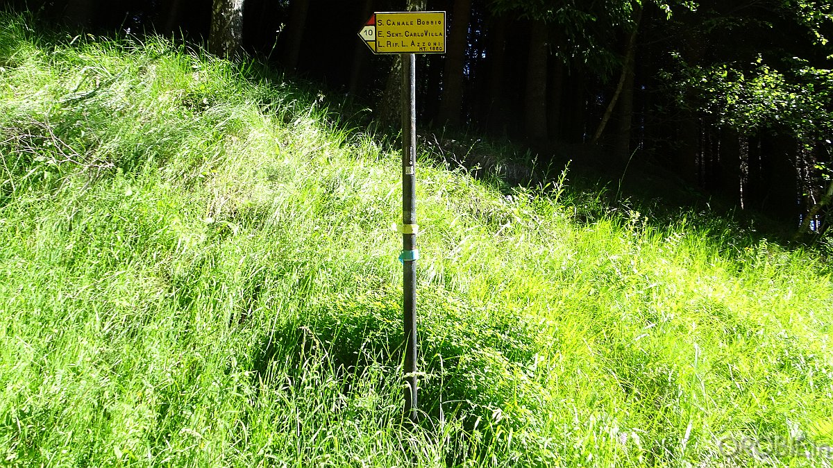2020-06-21 10-04-41 - DSC05152