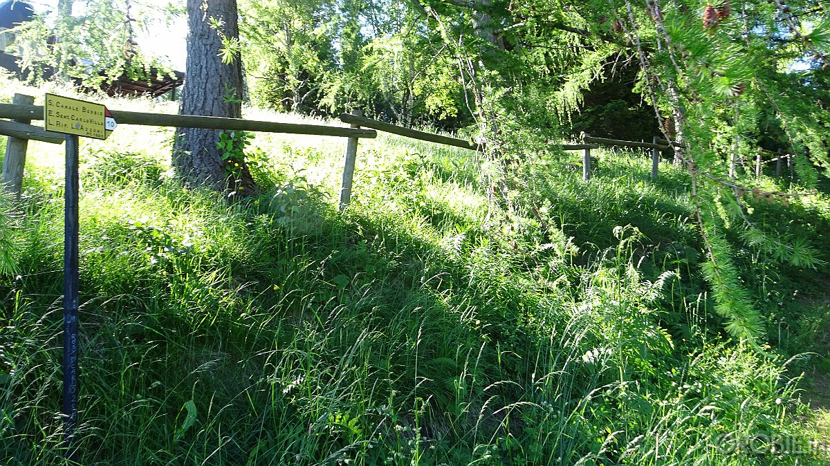 2020-06-21 10-06-49 - DSC05155
