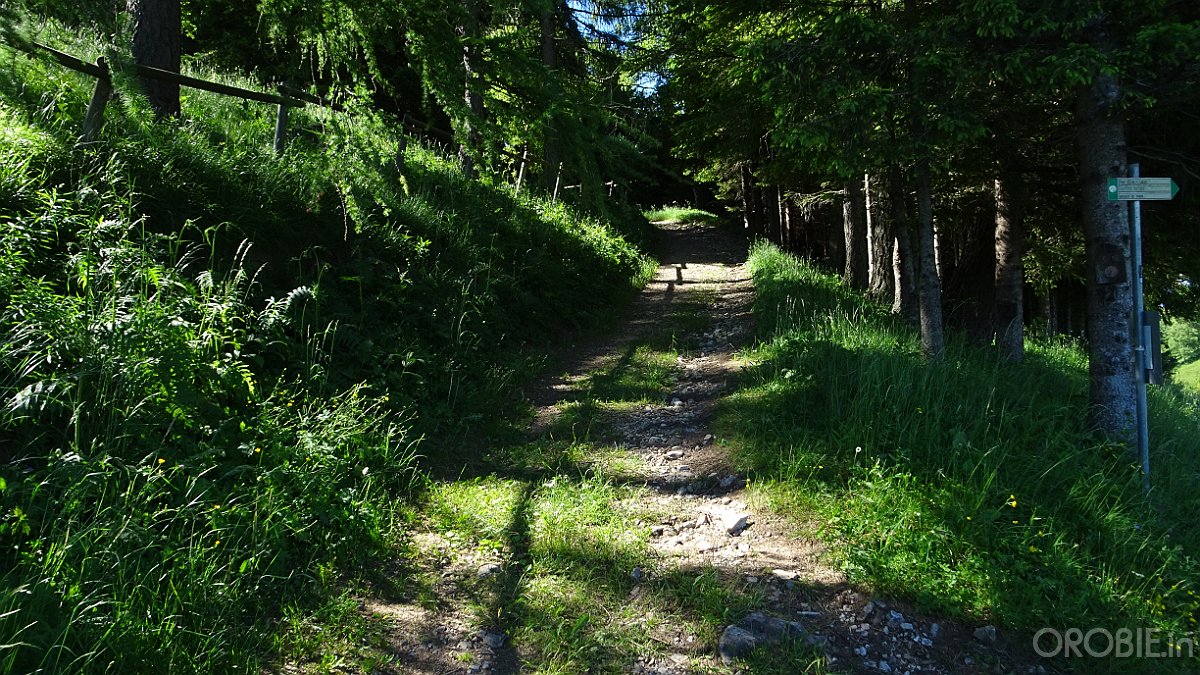 2020-06-21 10-06-53 - DSC05156