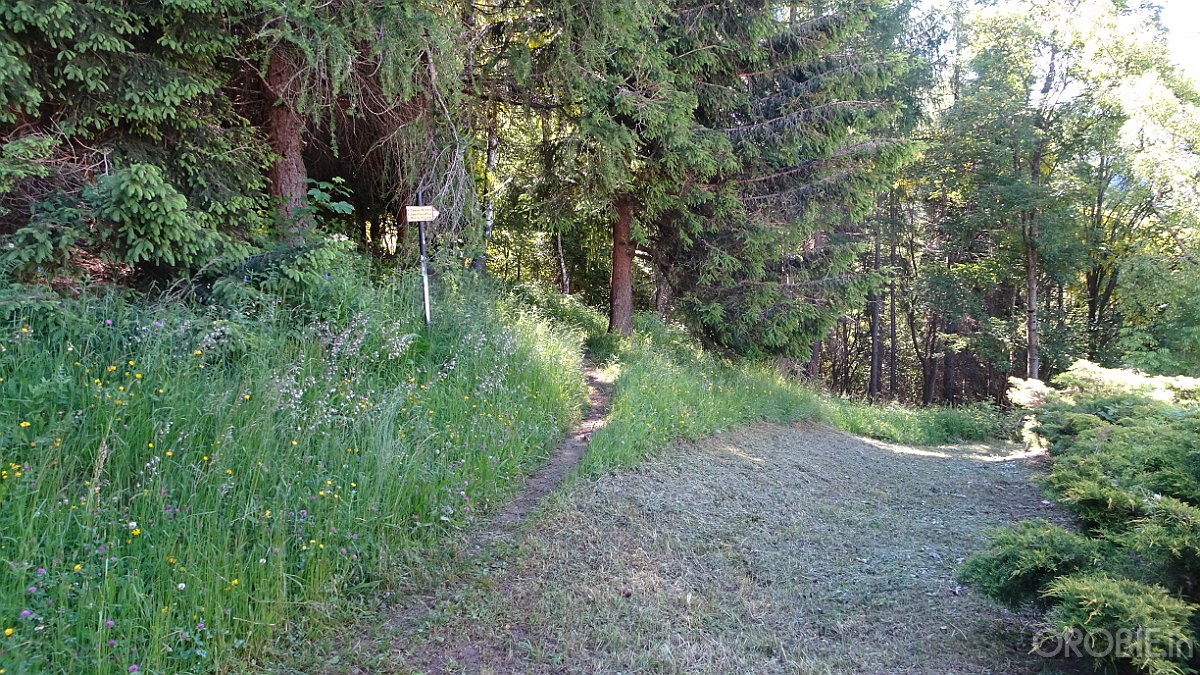 2020-06-21 10-10-03 - DSC05158