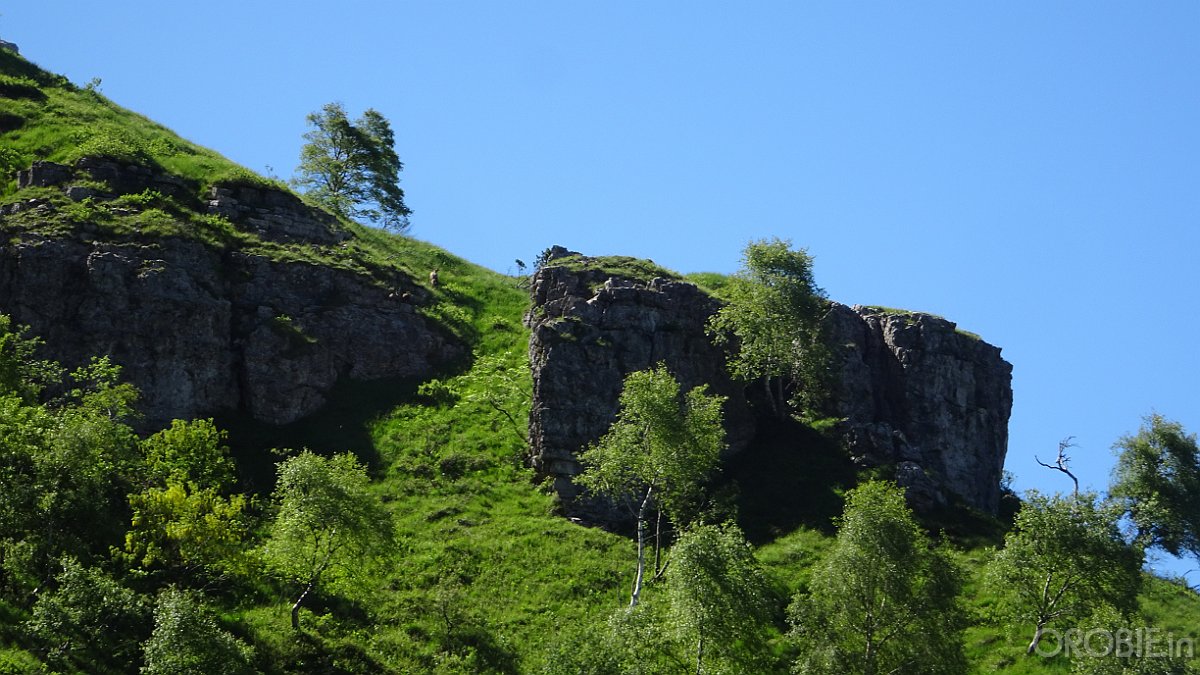 2020-06-21 11-00-09 - DSC05170