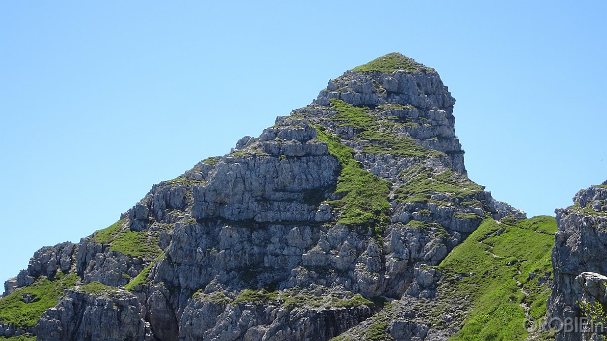 2020-06-21 11-50-19 - DSC05180