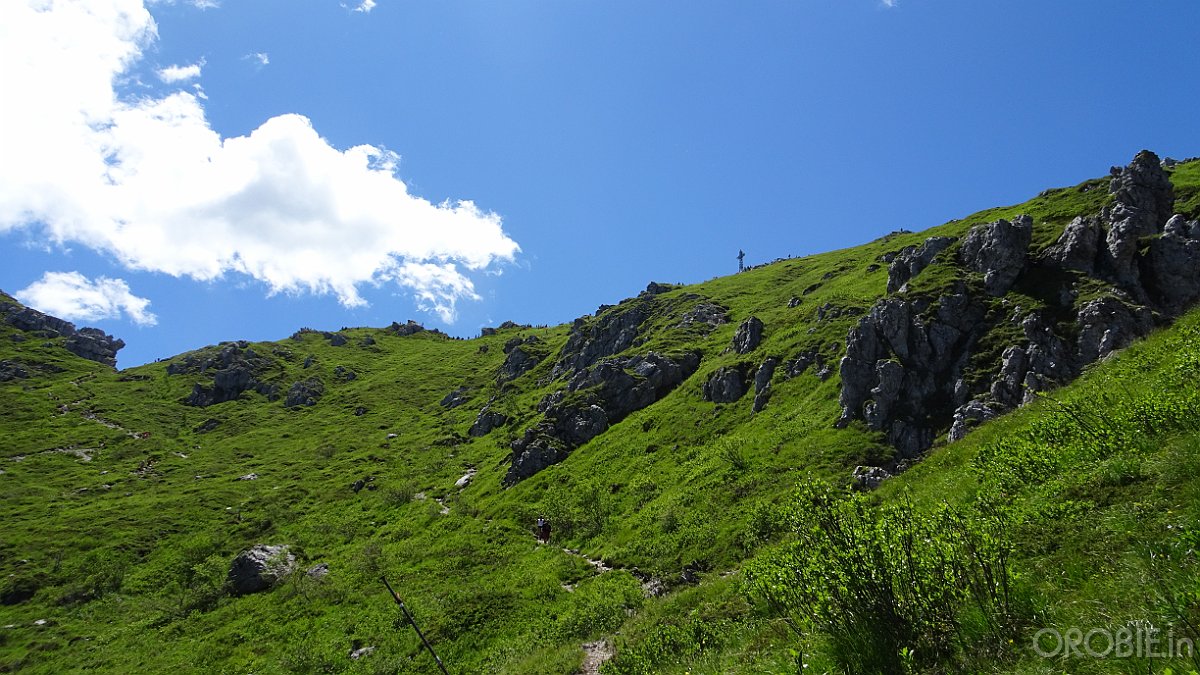 2020-06-21 13-32-37 - DSC05195