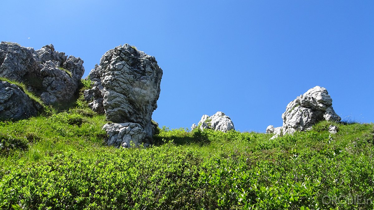 2020-06-21 13-37-17 - DSC05197