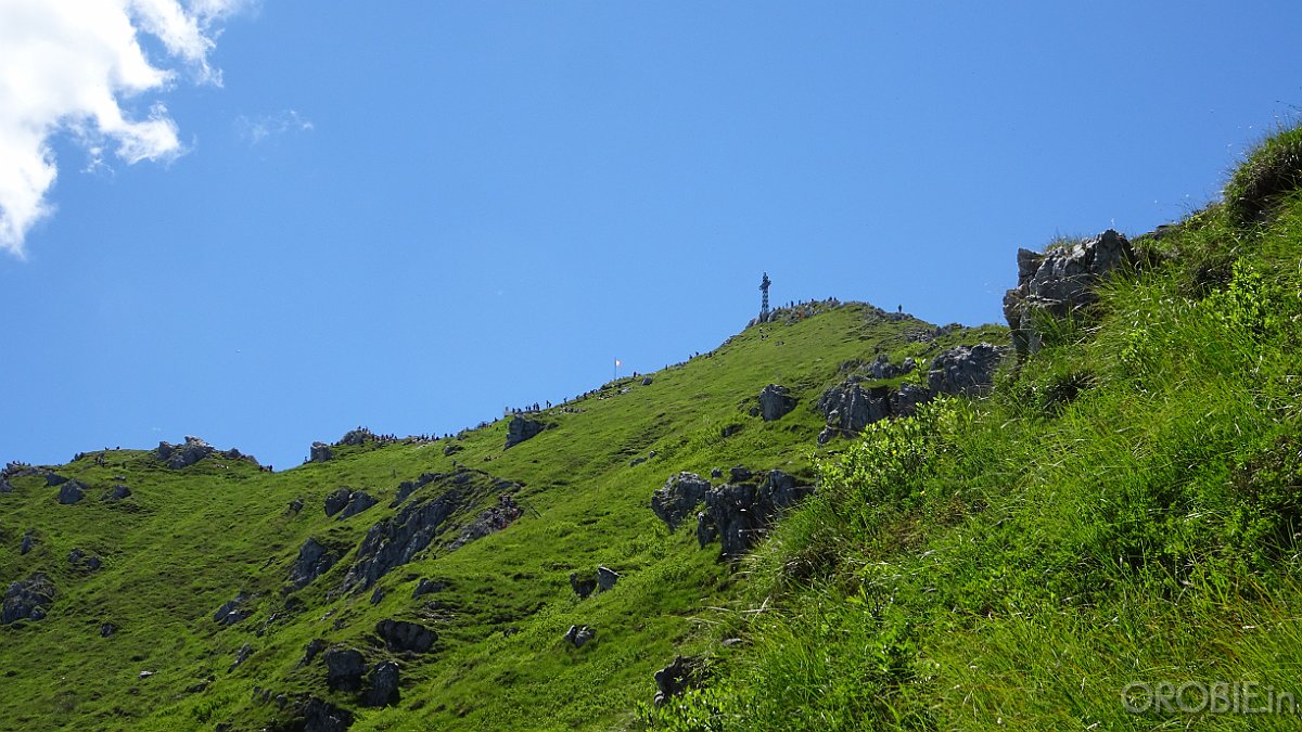 2020-06-21 13-37-29 - DSC05198