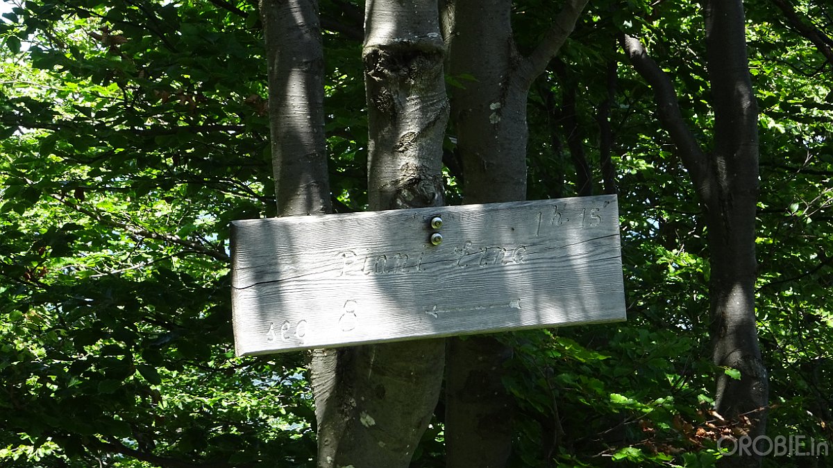 2020-06-21 13-38-44 - DSC05199