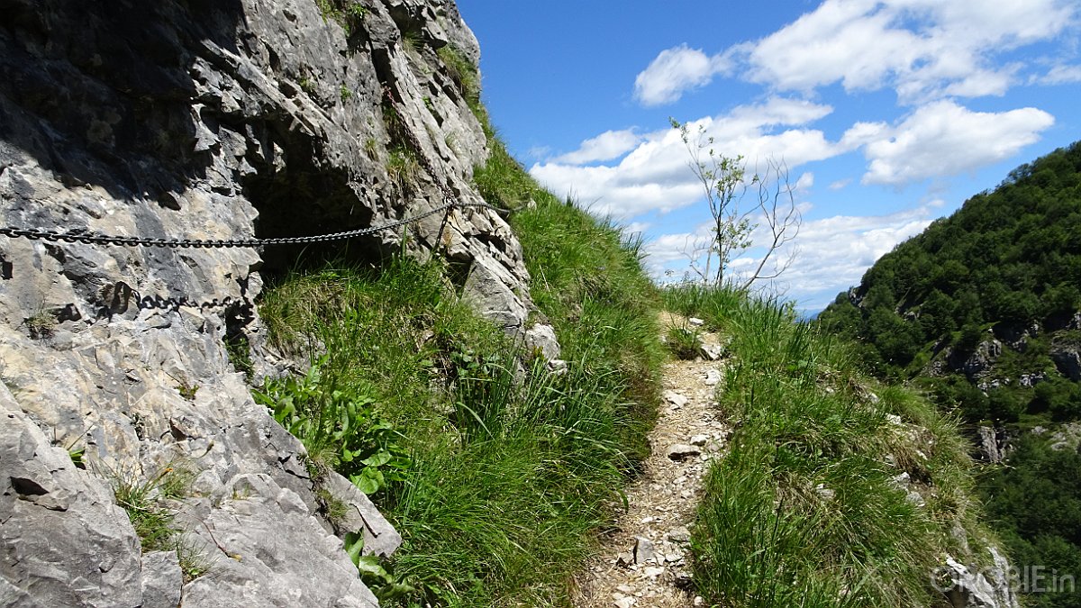 2020-06-21 13-58-04 - DSC05203