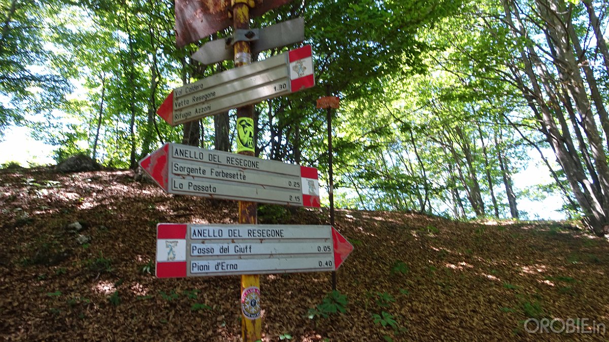 2020-06-21 14-31-50 - DSC05207