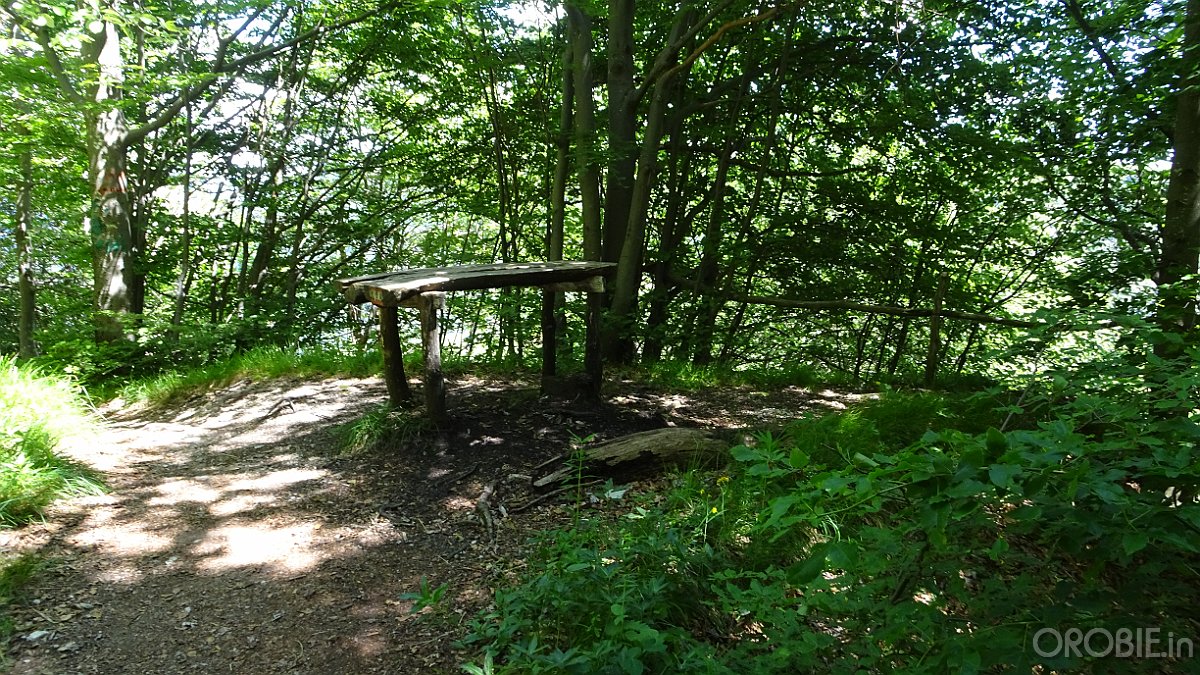 2020-06-21 14-50-11 - DSC05214