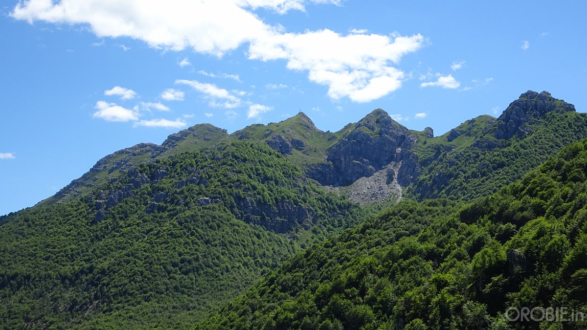 2020-06-21 15-03-37 - DSC05215