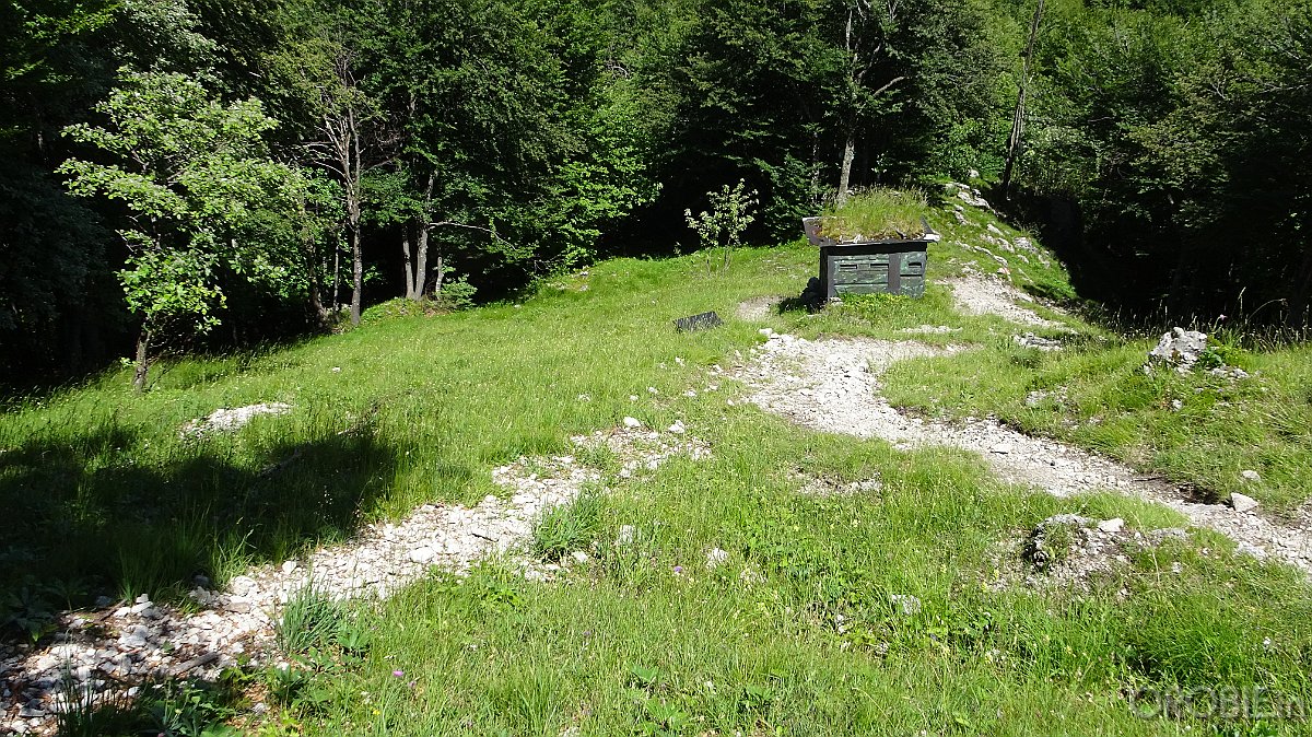 2020-06-21 15-06-13 - DSC05216
