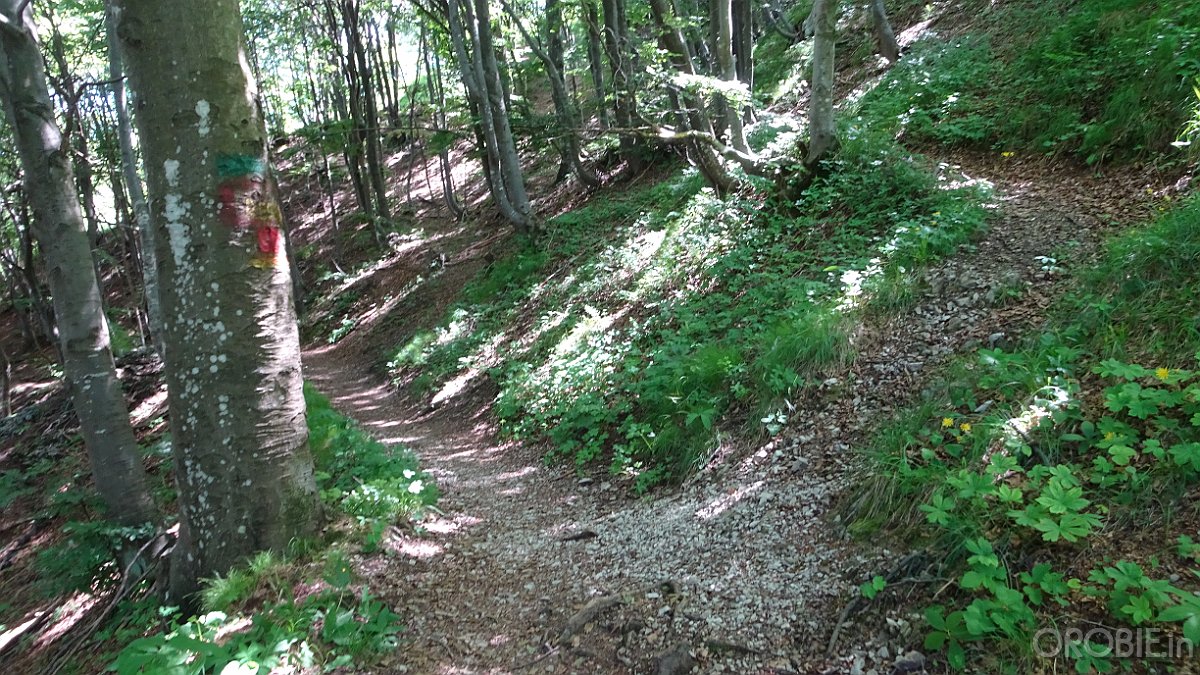 2020-06-21 15-25-09 - DSC05218